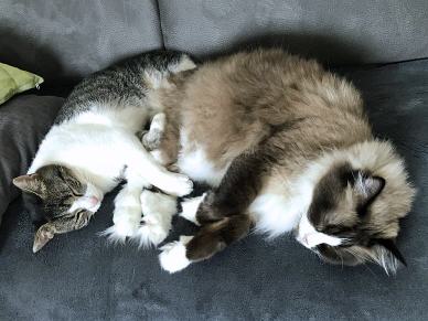Tabellenbild