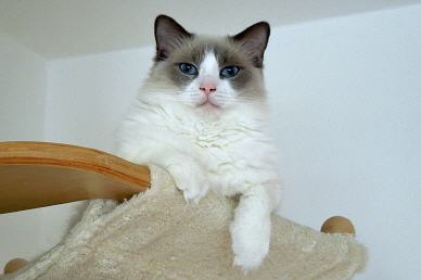 Tabellenbild