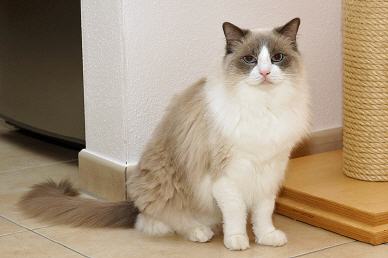 Tabellenbild