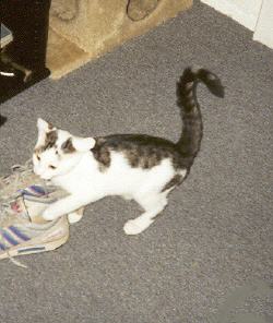 Tabellenbild