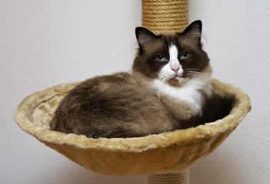 Tabellenbild